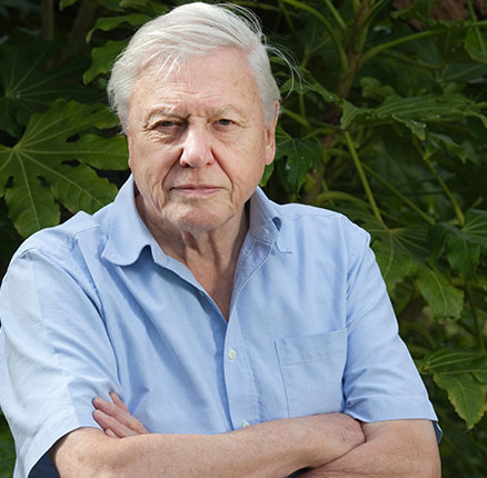 Sir David Attenborough, English broadcaster and naturalist, at his home in Richmond, Borough of Richmond upon Thames, England UK