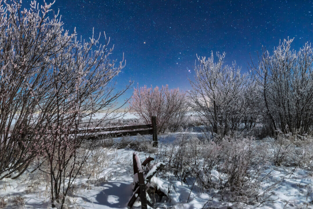 Orion rising in the moonlight over an old fence in southern Alberta, Canada.
